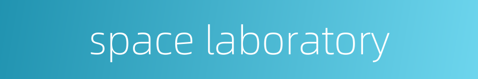 space laboratory的同义词