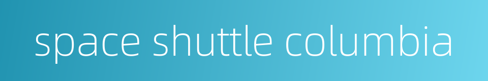 space shuttle columbia的同义词