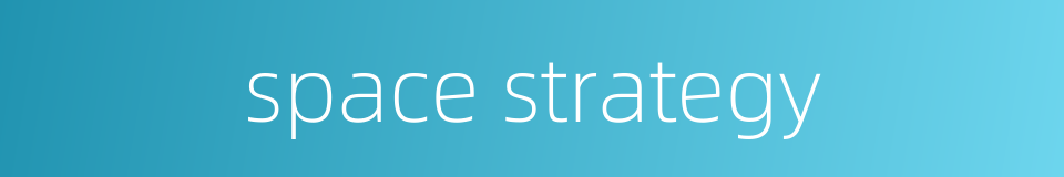 space strategy的同义词