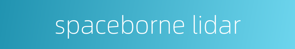 spaceborne lidar的同义词