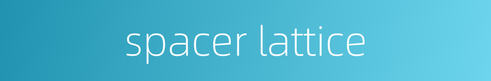 spacer lattice的同义词