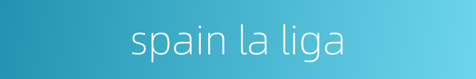 spain la liga的同义词