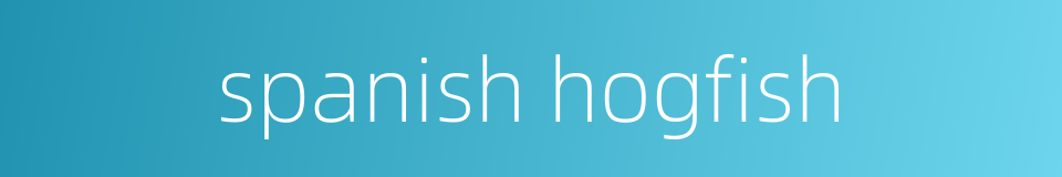 spanish hogfish的同义词