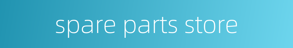 spare parts store的同义词