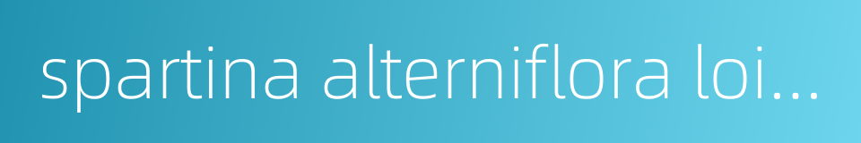 spartina alterniflora loisel的同义词