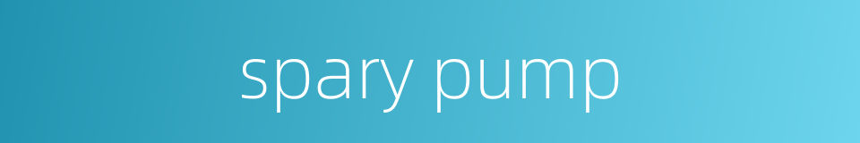 spary pump的同义词