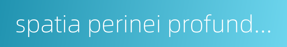 spatia perinei profundum的同义词