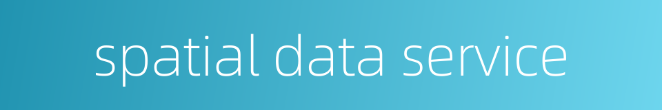 spatial data service的同义词