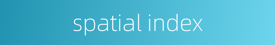 spatial index的同义词