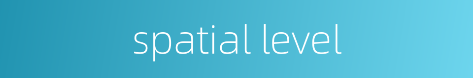 spatial level的同义词