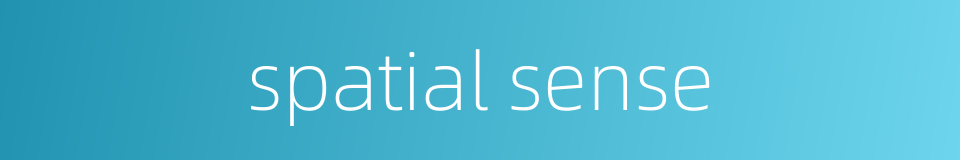spatial sense的同义词