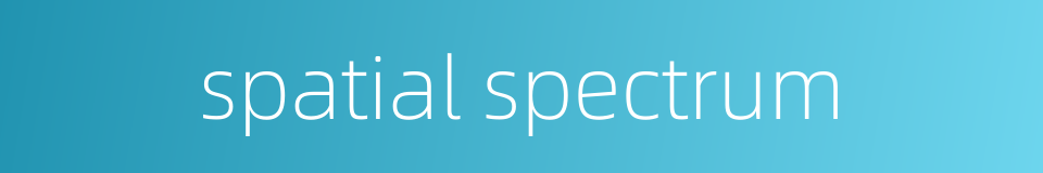 spatial spectrum的同义词