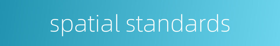 spatial standards的同义词