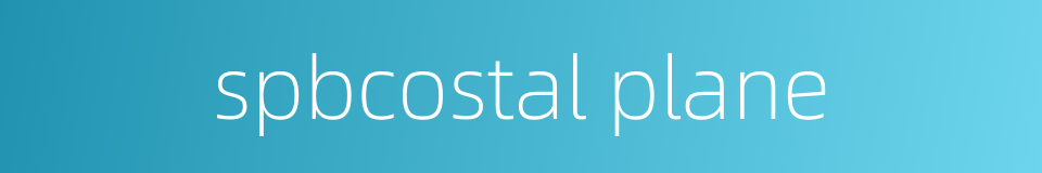 spbcostal plane的同义词