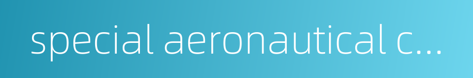 special aeronautical chart的同义词