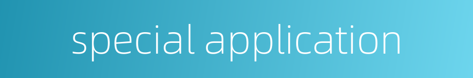 special application的同义词