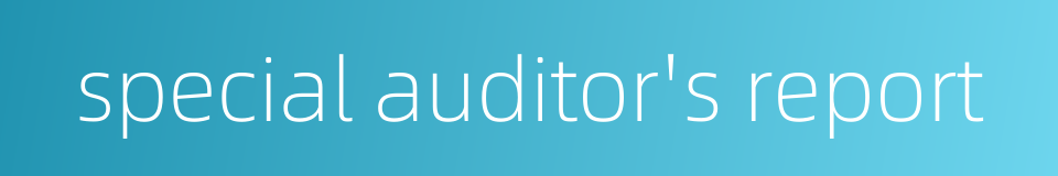 special auditor's report的同义词