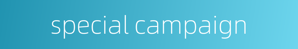 special campaign的同义词