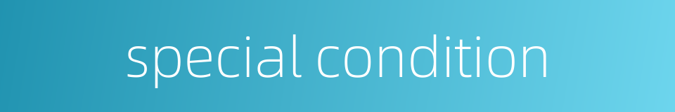 special condition的同义词