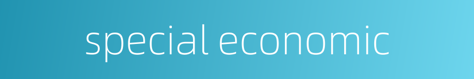 special economic的同义词