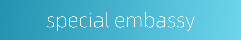 special embassy的同义词