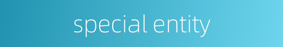special entity的同义词