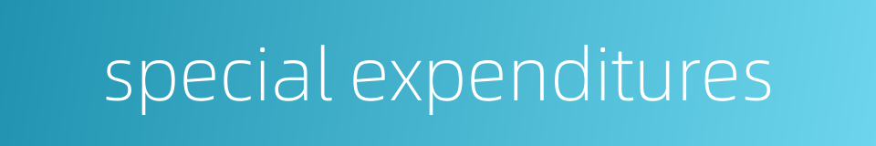 special expenditures的同义词
