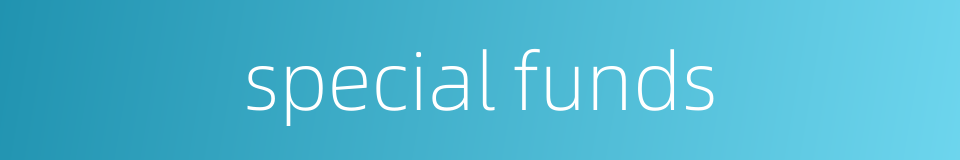 special funds的同义词