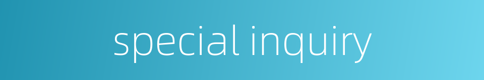 special inquiry的同义词