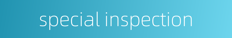 special inspection的同义词