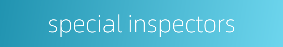 special inspectors的同义词