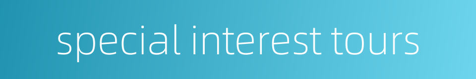 special interest tours的同义词