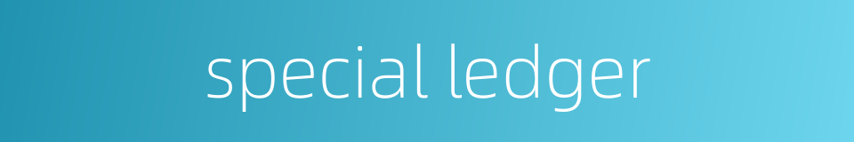 special ledger的同义词