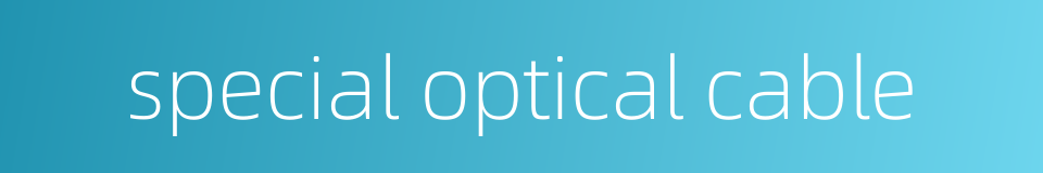 special optical cable的同义词