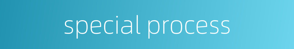 special process的同义词