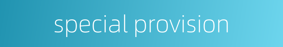 special provision的同义词