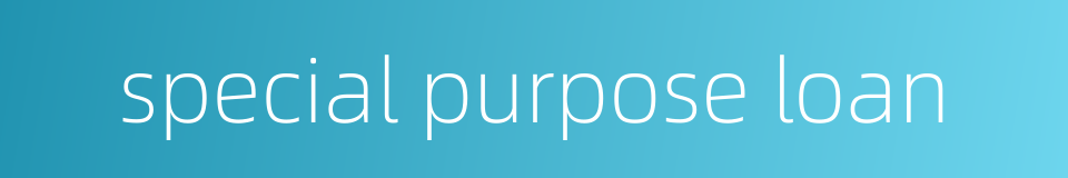 special purpose loan的同义词