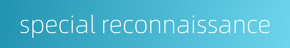 special reconnaissance的同义词