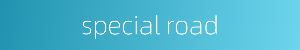 special road的同义词