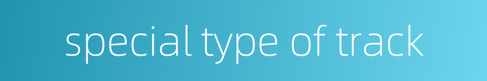 special type of track的同义词