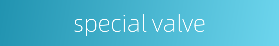 special valve的同义词