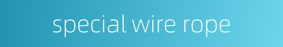 special wire rope的同义词