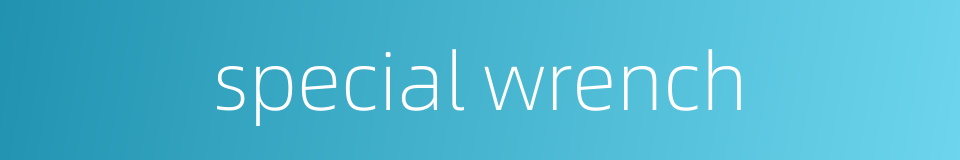 special wrench的同义词