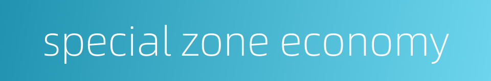 special zone economy的同义词