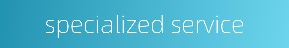 specialized service的同义词