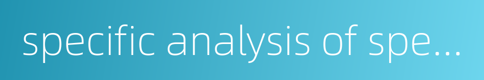 specific analysis of specific issues的同义词