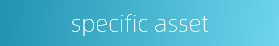 specific asset的同义词