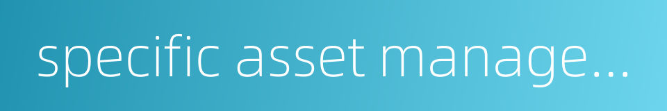 specific asset management plan的同义词