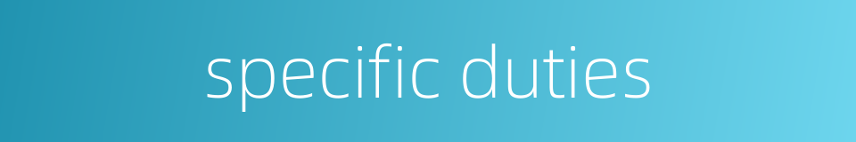 specific duties的同义词