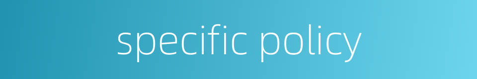 specific policy的同义词